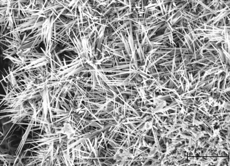 Gallium Nitride Nanowires SEM - 5 K X