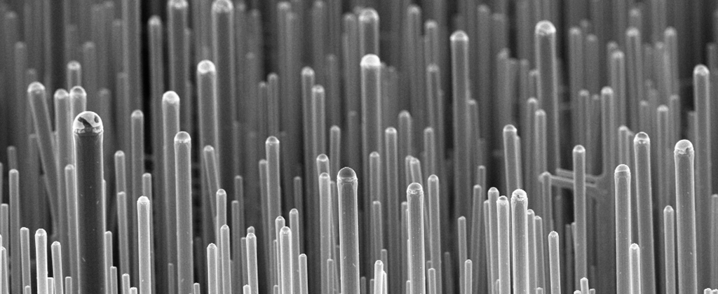 Silicon Nanowires SEM - 10 K X