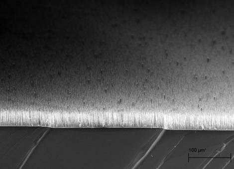 Silicon Nanowires SEM - 500 X